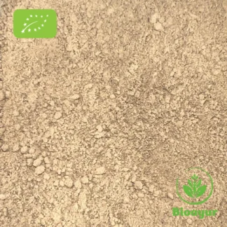 BioAyur Brahmi Pulver