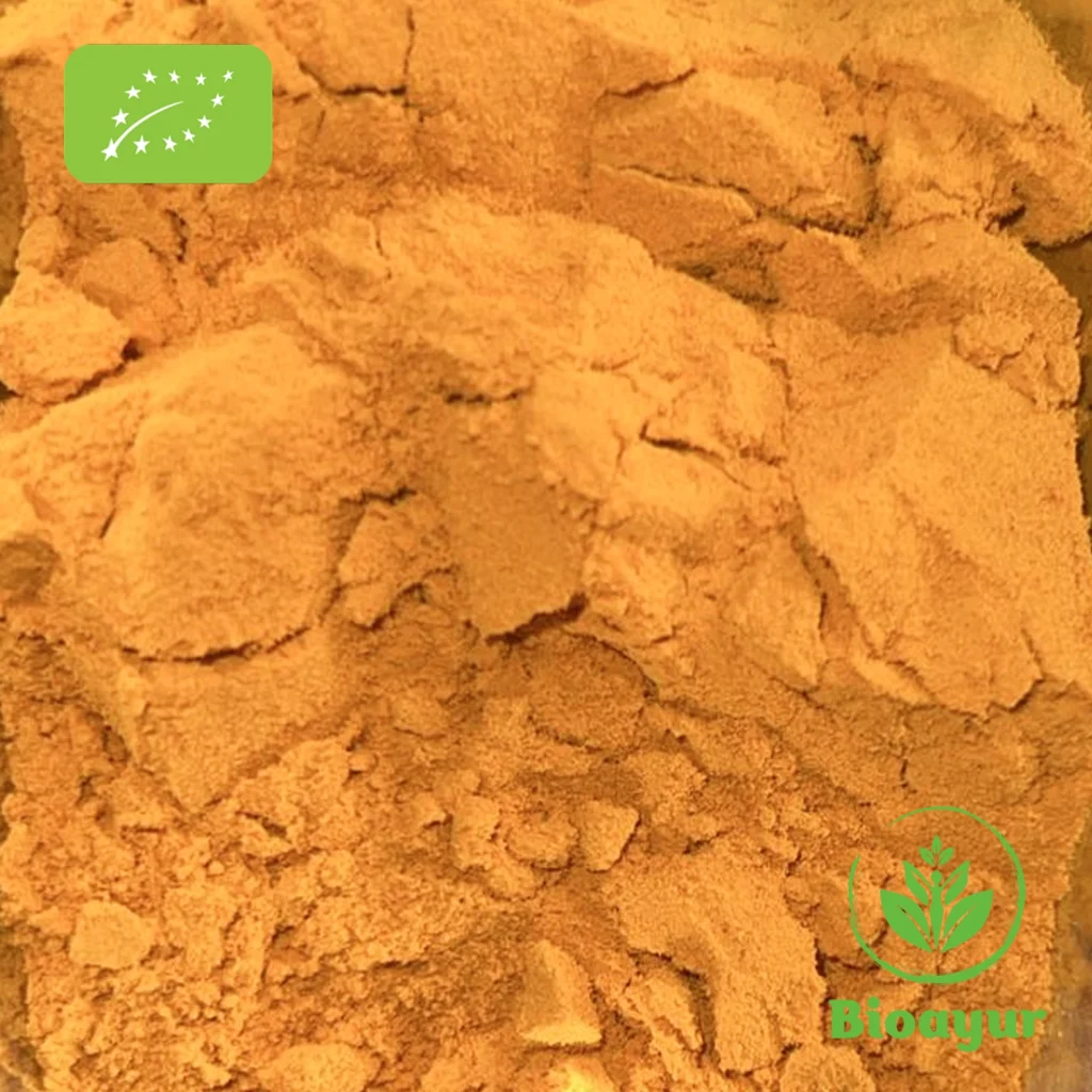 BioAyur Kurkuma Pulver Bio Qualität