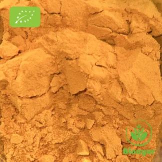 BioAyur Kurkuma Pulver Bio Qualität
