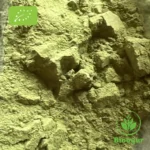 BioAyur Moringa Pulver Bio Qualität