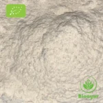 Shatavari Churna Bio