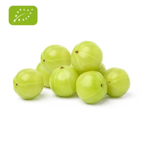 Amalaki Amla Churna Bio Emblica officinalis