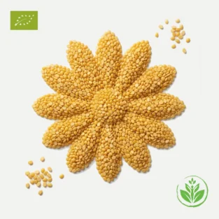 Bio Mungbohnenhälften geschält online kaufen