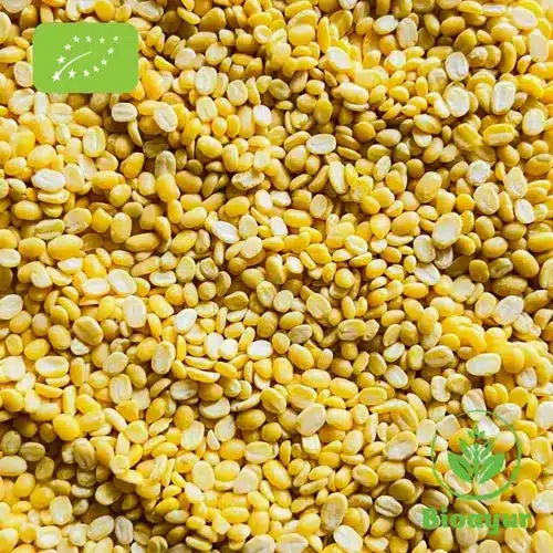 Mungbohnenhälften geschält (Mung Dal)