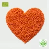 Bio Masur Dal online kaufen